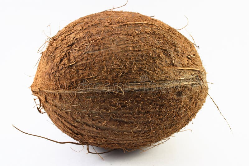 Coconut on a white background