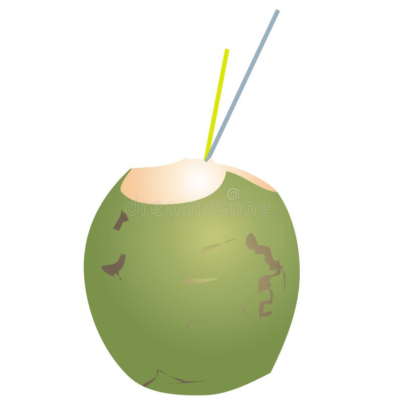 Art illustration of an opened coconut. Art illustration of an opened coconut