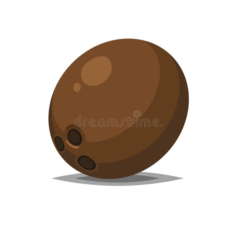 Coco aislado en blanco ilustración del vector