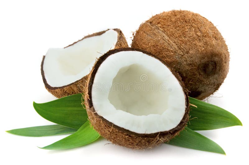 Coco con las hojas Coco con las hojas
