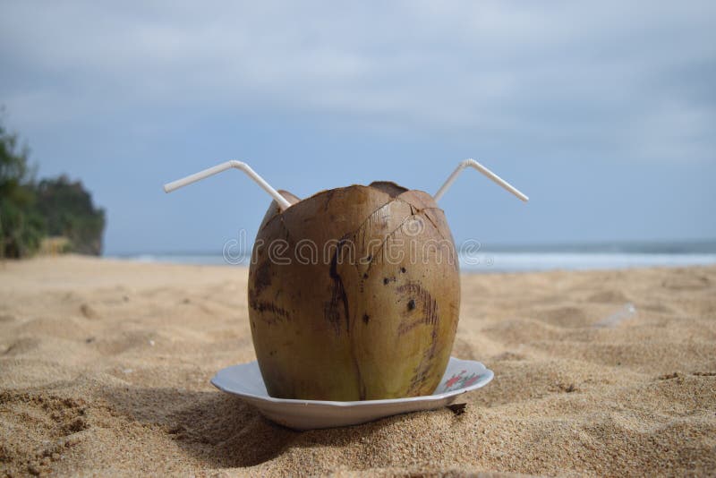 Coco joven delicioso foto de archivo libre de regalías