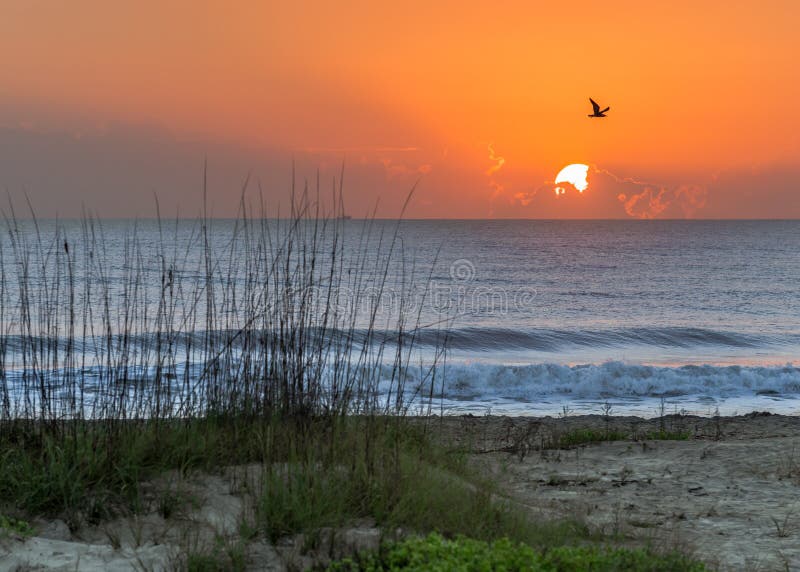 Cocoa Beach Sunrise stock photo. Image of grass, florida 178899810