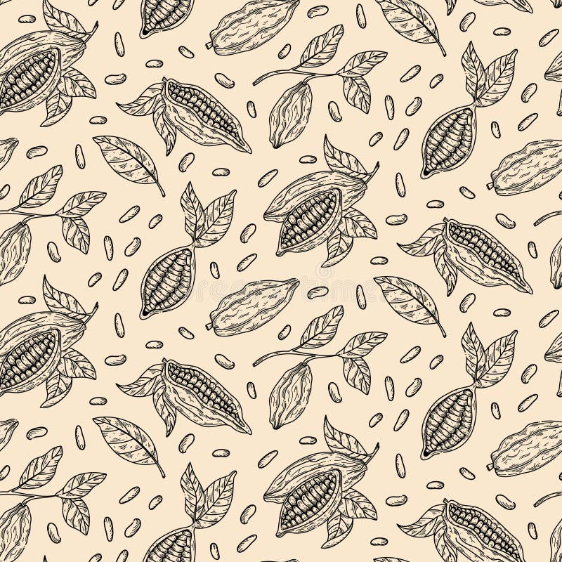 Cocoa Branch Vector Seamless Pattern. Chocolate Design Hand Drawn ...
