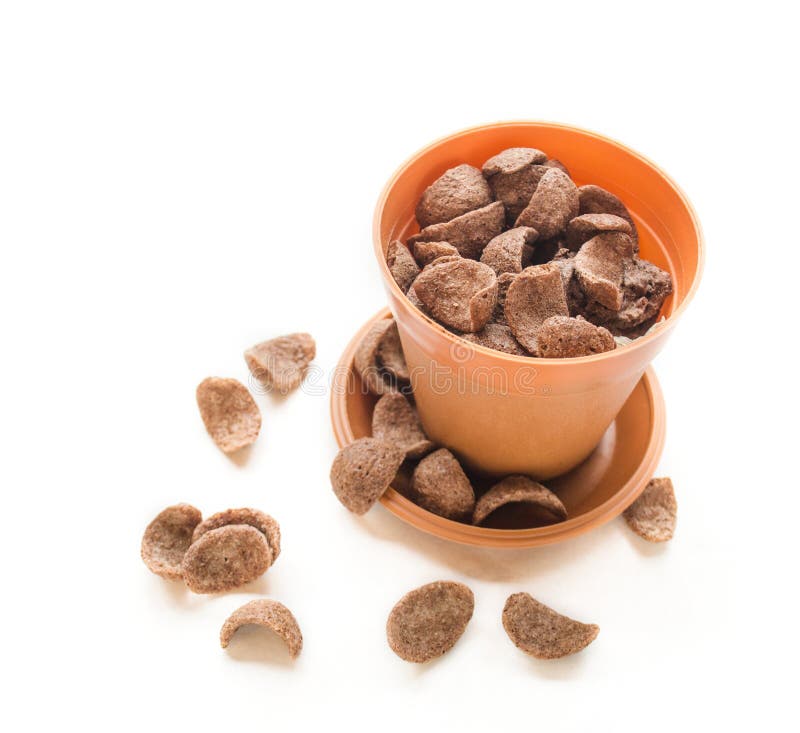 Cocoa cereal stock photo. Image of sugar, organic, health 59580026