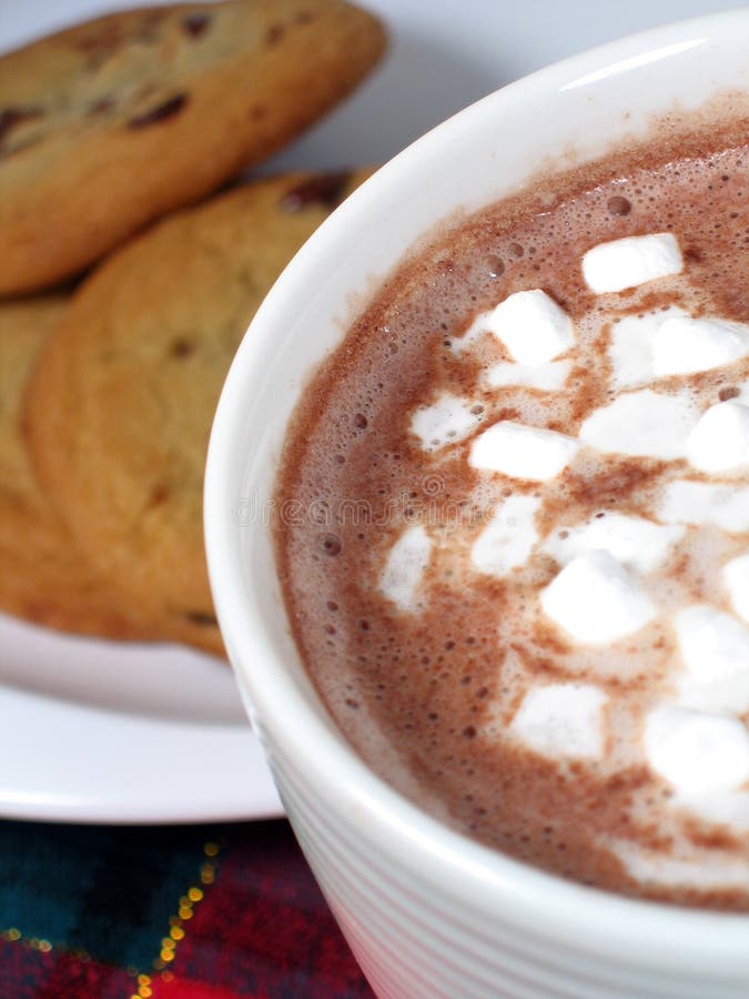 Cocoa and Cookies stock image. Image of beverage, plate 323883