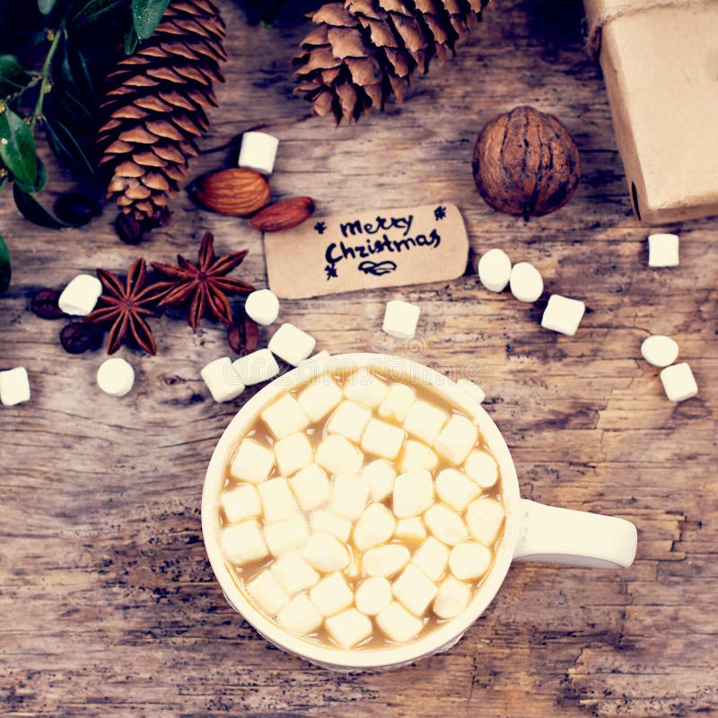 Cocoa with marshmallow stock photo. Image of black, comfort 110088388