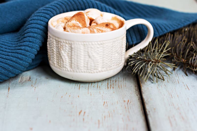 Cocoa with marshmallow stock photo. Image of black, comfort 110088388