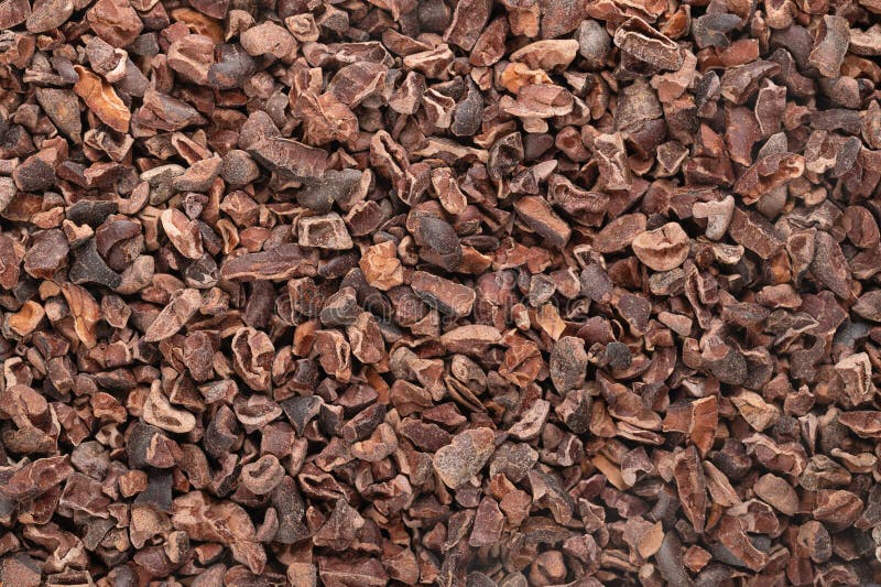 Cocoa nibs, background of crushed dried fermented kernels of cocoa beans stock image