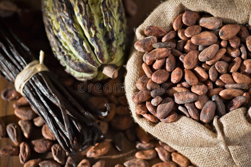 Cocoa pod and beans