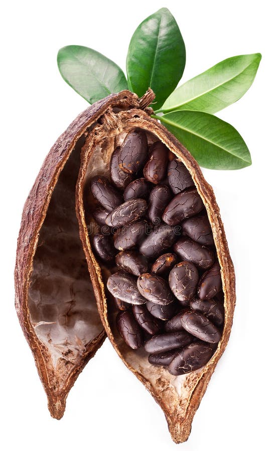 Cocoa pod