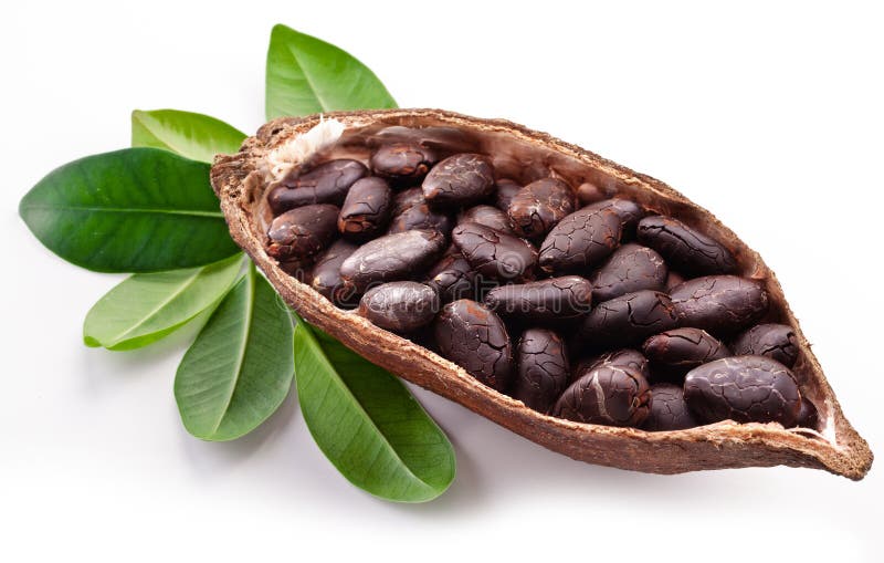 Cacao pod su uno sfondo bianco.