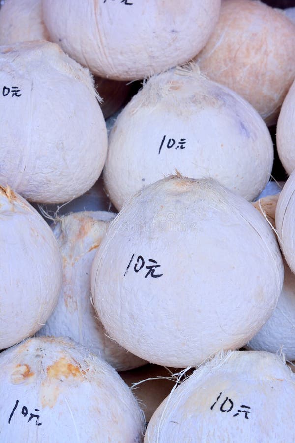 Coconut with price on sale stock photo. Image of fruit 31176842