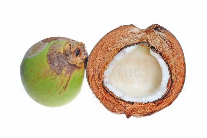 Coconut