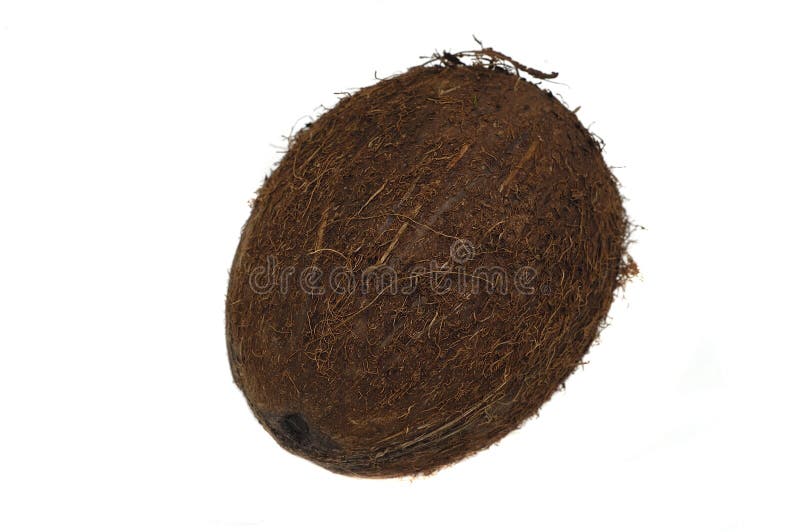 Coconut