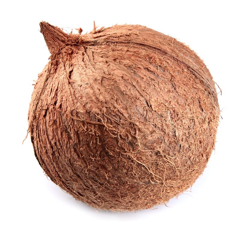 Coconut. 