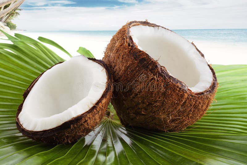 Coconut