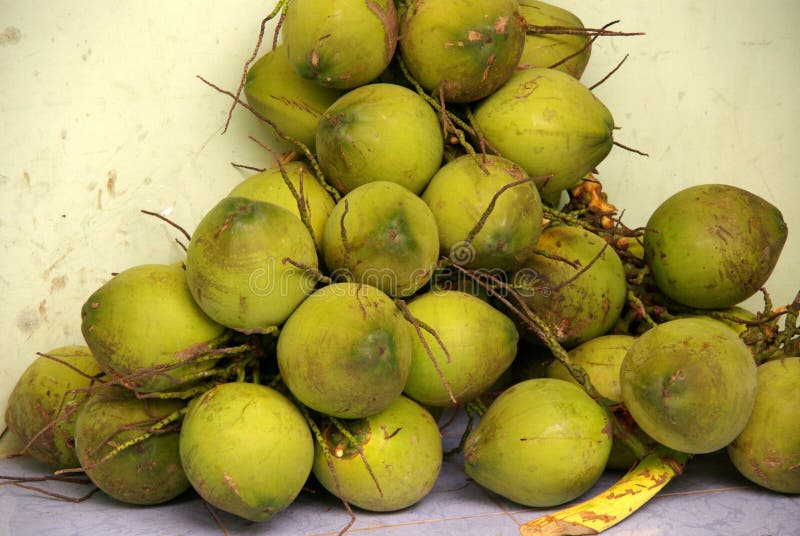 Coconut