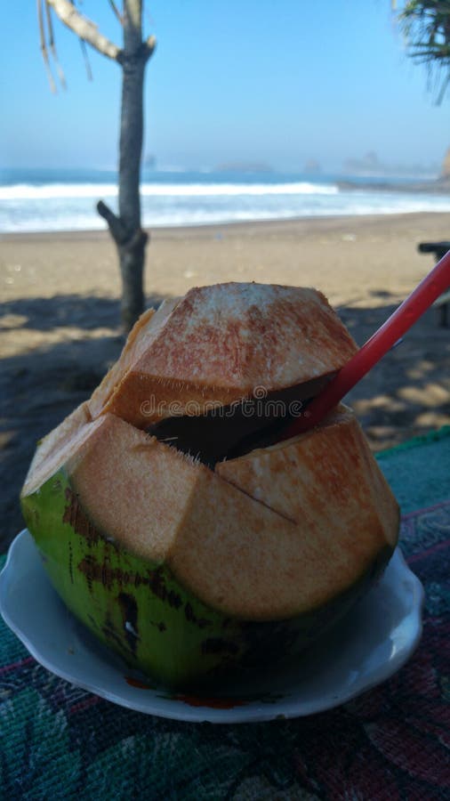 Coconut on the beach stock image. Image of coconut, beach 109611201