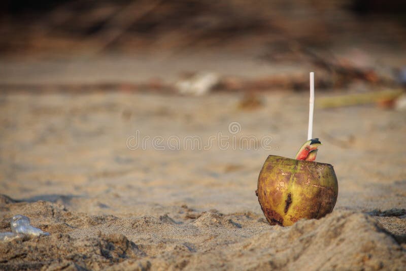 Beach stock photo. Image of beach, holiday, coconut 100795832