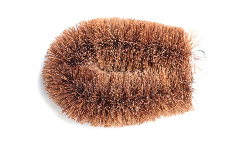 Natural Coconut Fiber Brush Stock Photo Image of cutout, oriental 13238820