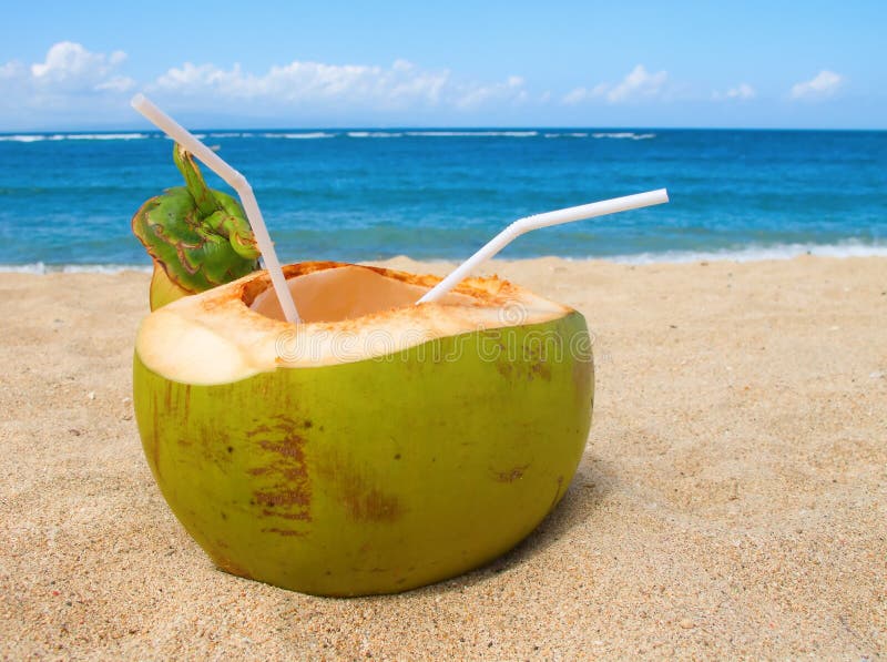 Coconuts Straw Cocktails in Caribbean Beach Stock Photo Image of