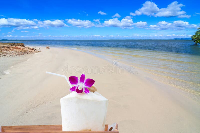 Coconut cocktail for serving on the beach stock photography Coconut cocktail for serving on the beach stock photography