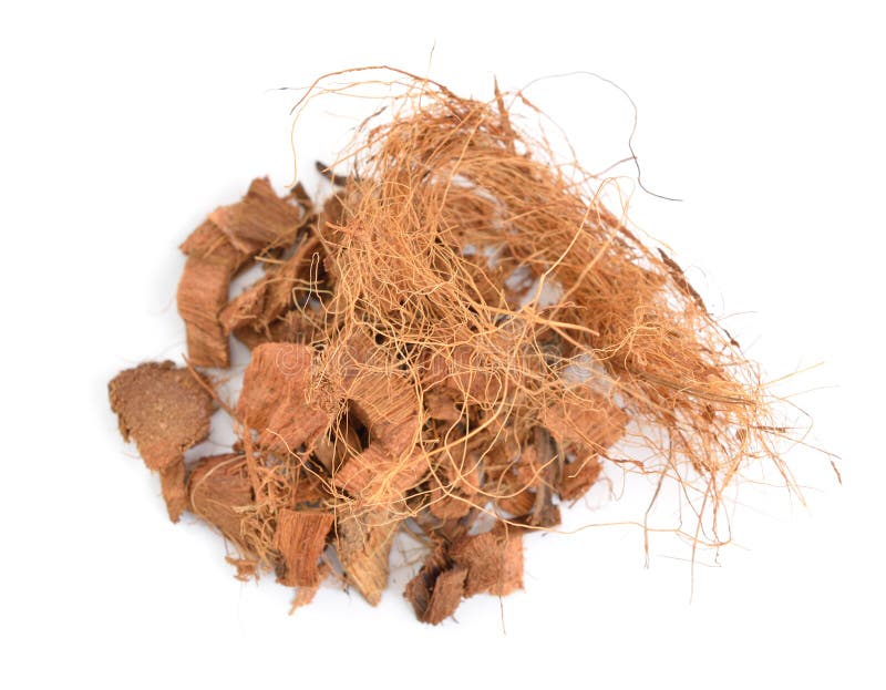 Coconut Coir Chips with Fiber Isolated on White Background Stock Image