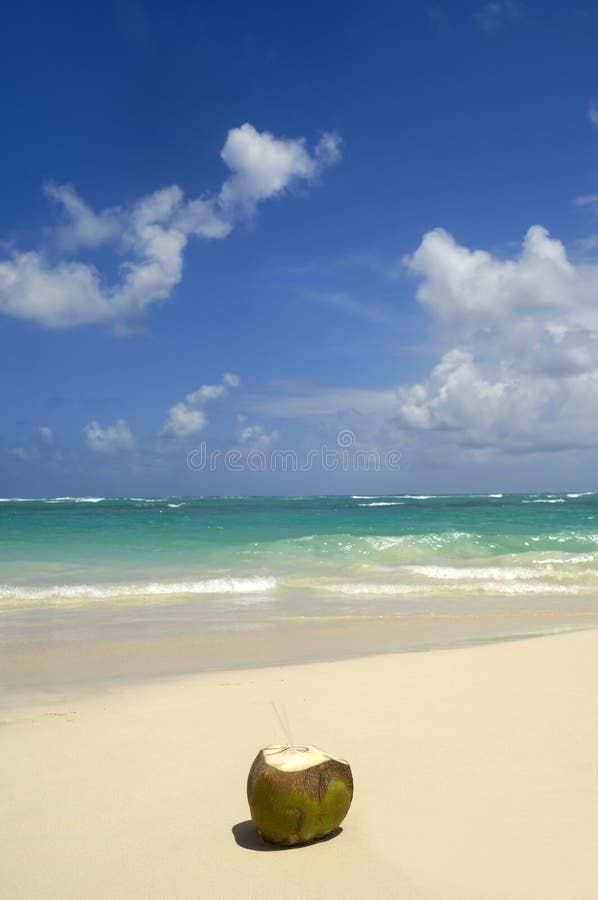 Coconut drink on exotic beach