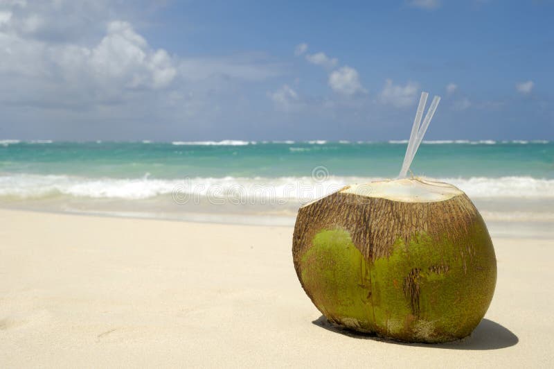 Coconut drink on exotic beach