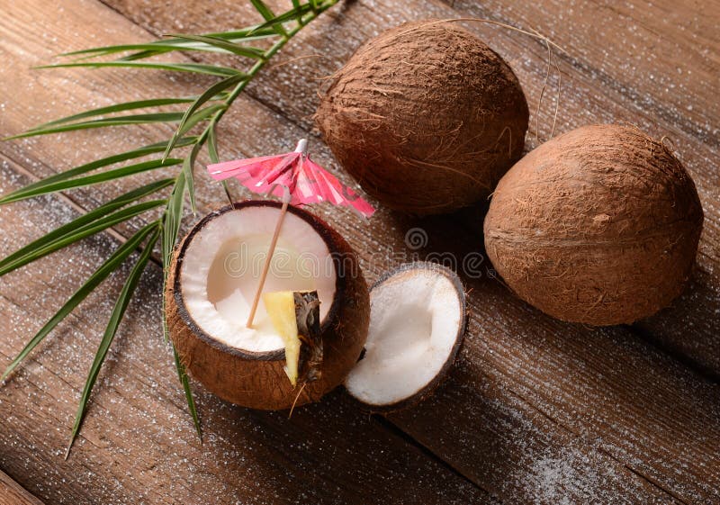 Shell on the Malibu Beach stock photo. Image of malibu 221605004