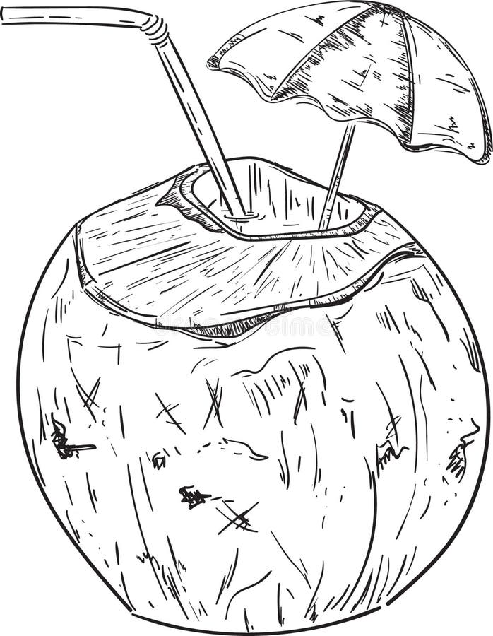 Coconut Drink. Vector Illustration Decorative Design Stock Vector