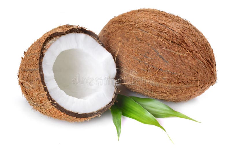 Coconut stock image Coconut stock image