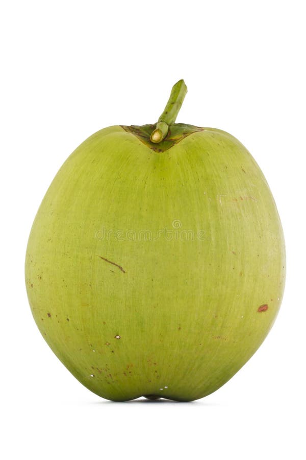 Coconut Fruit stock image. Image of object, healthy, single 28302179