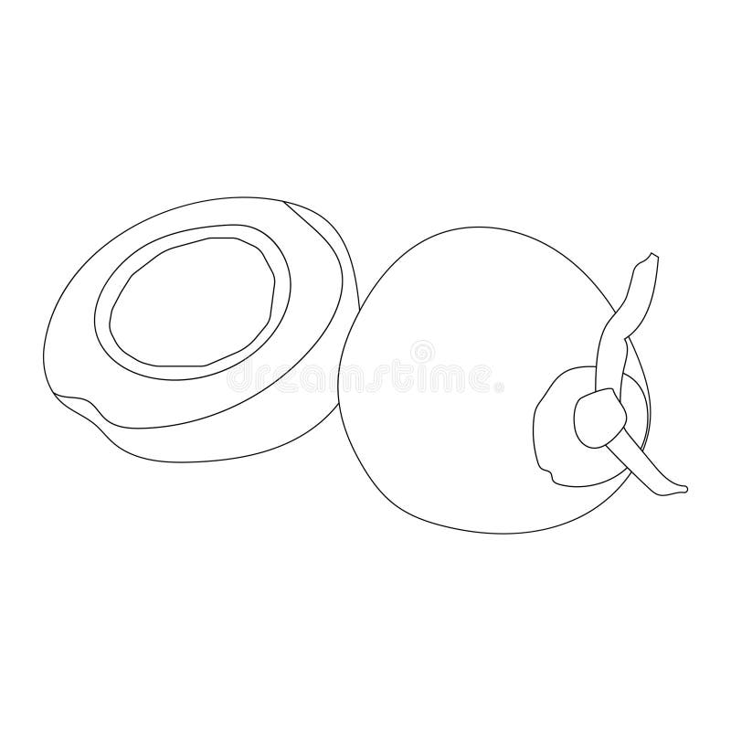 Coconut fruit icon stock illustration. Illustration of hydration