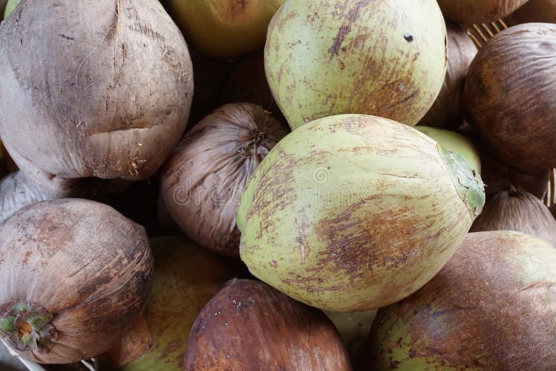 Coconut Fruit Stock Images Download 75,188 Royalty Free Photos