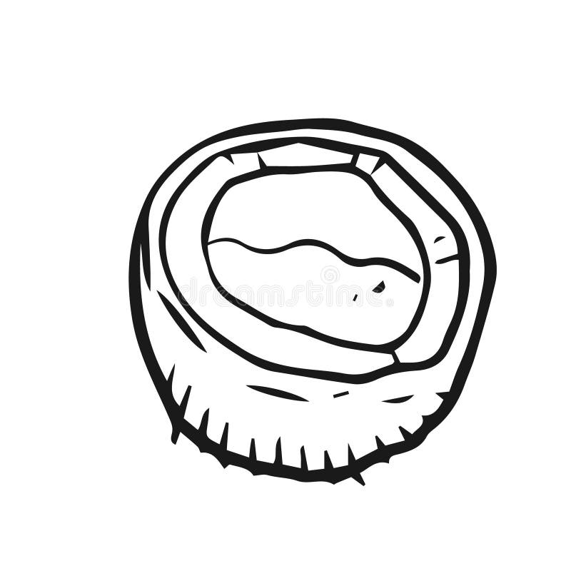 Coconut Fruit Outline Design Vector Flat Objects Stock Vector