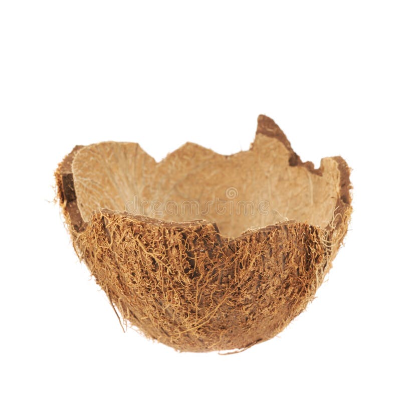 Coconut Fruit Shell Cut in Half Stock Image Image of palm, blank