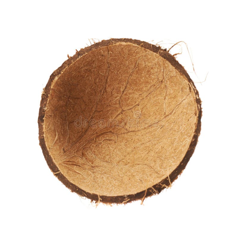 Coconut Fruit Shell Cut in Half Stock Image Image of hairy, hard