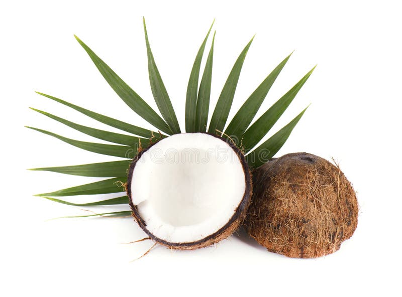 Coconut with half and leaves on white background royalty free stock photo Coconut with half and leaves on white background royalty free stock photo