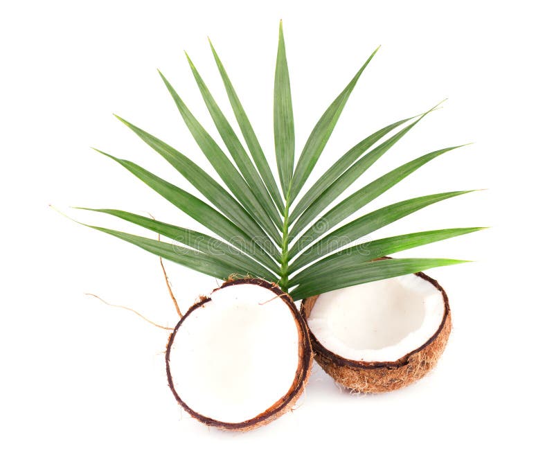Coconut with half and leaves on white background. Close-up royalty free stock image Coconut with half and leaves on white background. Close-up royalty free stock image