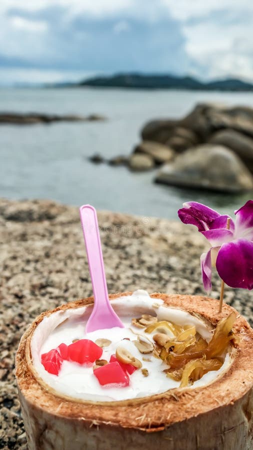 Coconut Ice Cream with Nuts Stock Image Image of coconut, refreshing