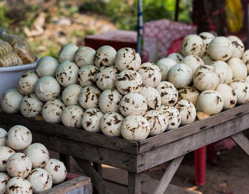 Coconut Juice Shop in Thailand Stock Photo Image of travel, green