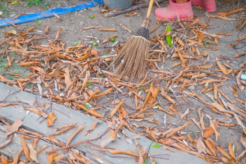 Coconut leaf broom stock image. Image of thai, broomstick 149802957