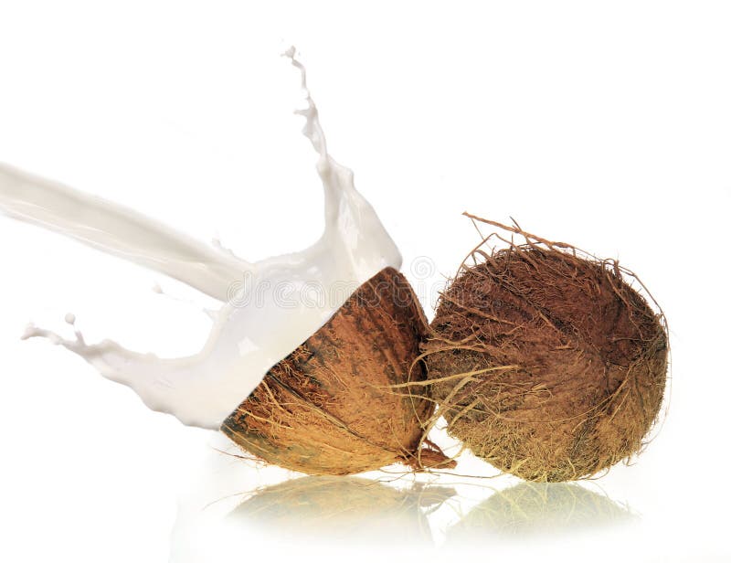 Coconut milk splash stock photo. Image of gourmet, exotic 18950200