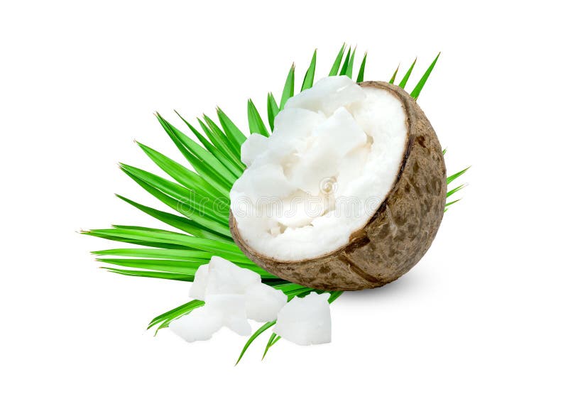Coconut Milk Tropical Fruit or Fluffy Coconut Chopped Isolated on White