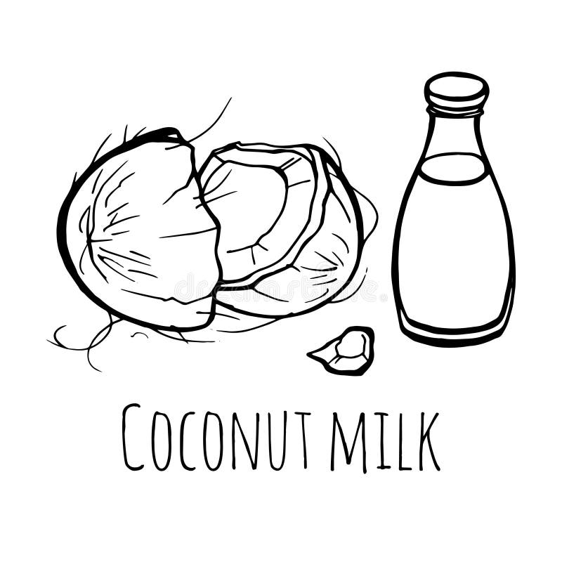 Coconut Hand Draw Seamless Pattern. Vector Coco Isolated on White