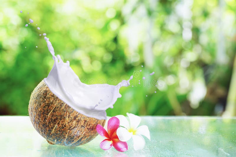 Pearl Coco Coconut Creme White Milk