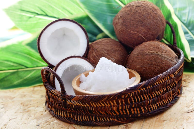 Coconut, Oil and Palm Leaf. Exotic Scene Stock Photo Image of care