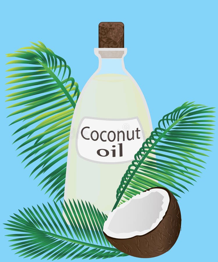 Coconut Oil in a Jar and Coconuts Vector Illustration Stock Vector