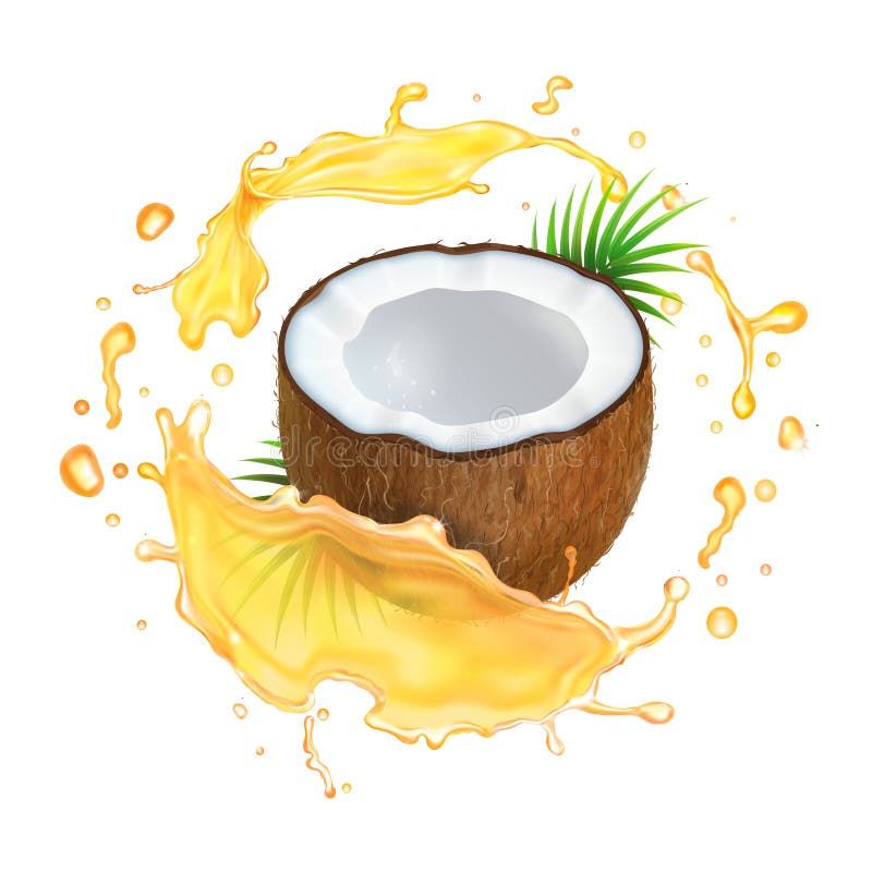 Coconut Oil Logo With Oil Drop Stock Vector Illustration of tree